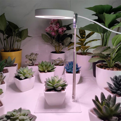 USB LED Grow Light